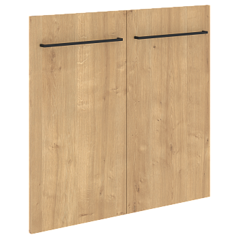Двери низкие LOFTIS LLD 40-2 790х18х734